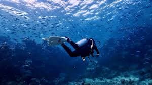 Perjalanan menyelam Laut Merah setengah hari dengan instruktur