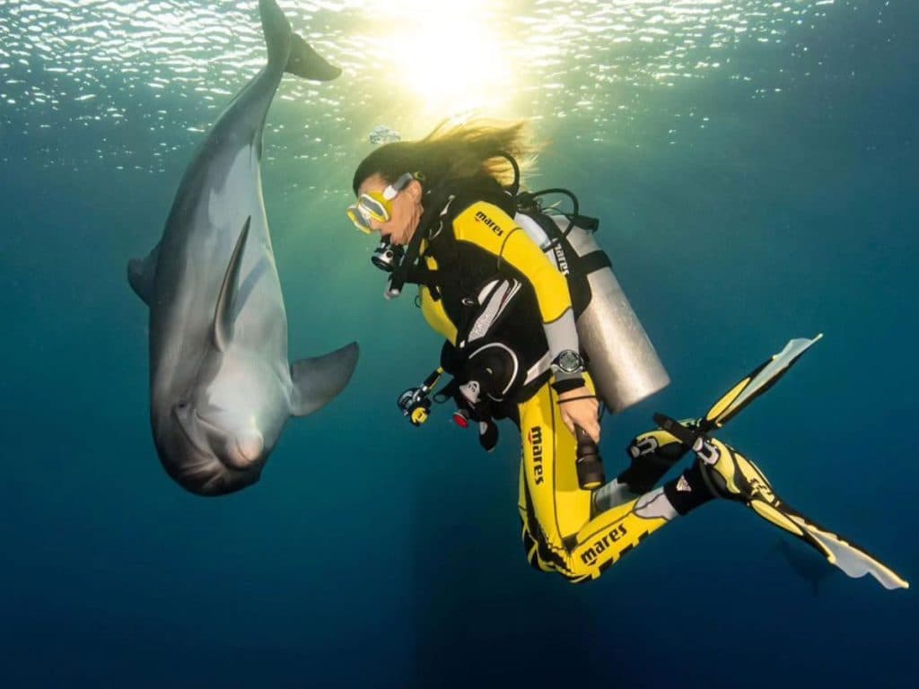 Perjalanan menyelam Laut Merah setengah hari dengan instruktur