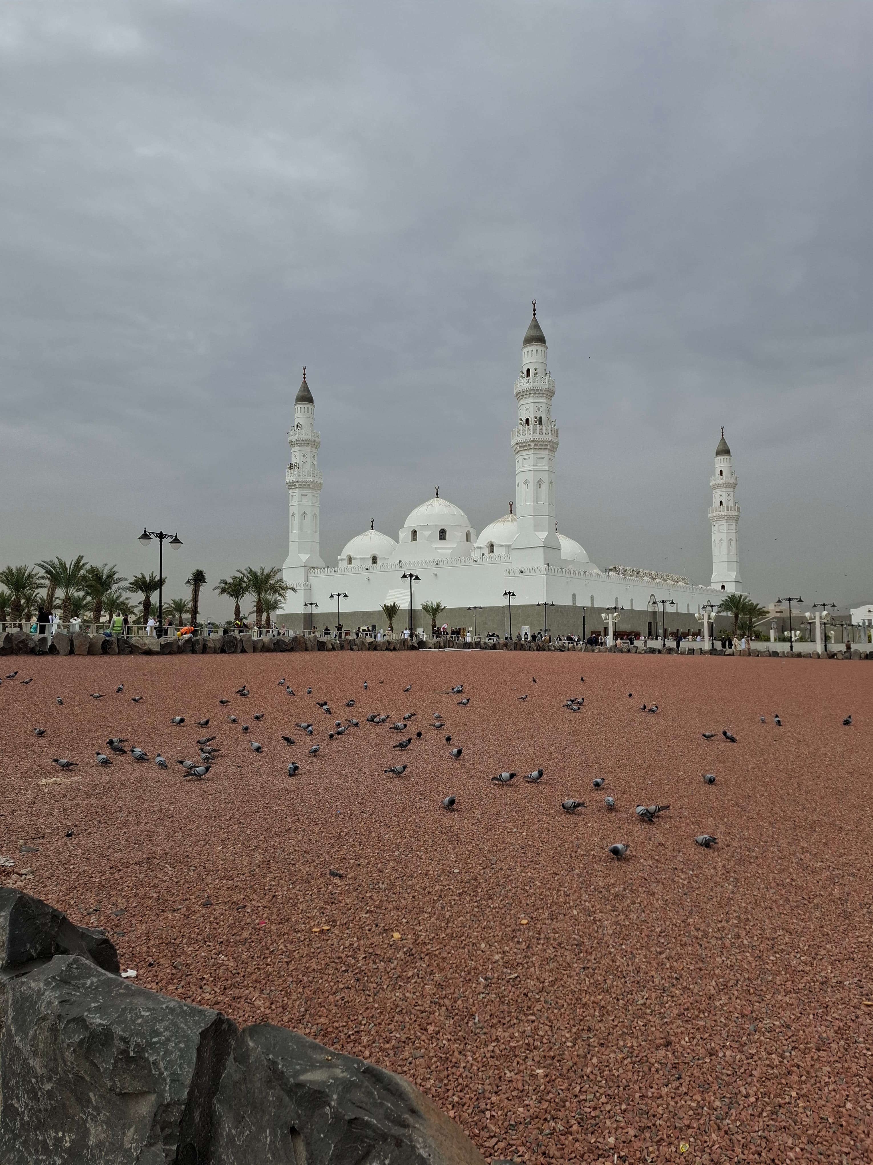 Tur bersepeda di Madinah bersama rombongan dan pemandu wisata
