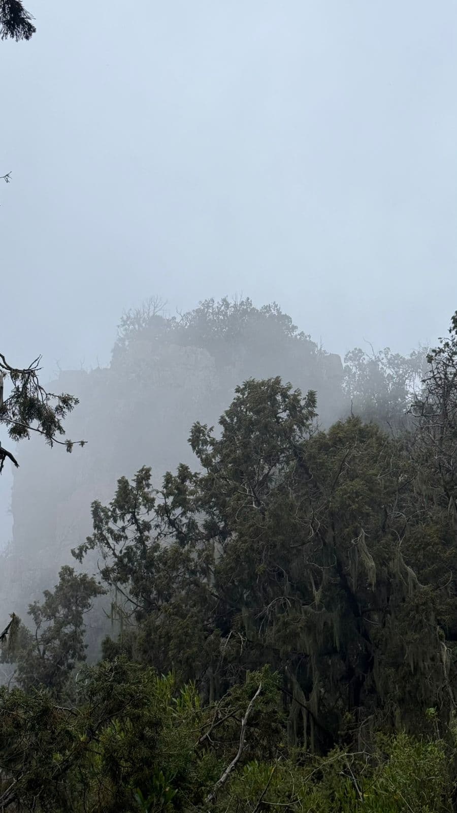 Hiking dan bersantai di pegunungan di Al-Soudah, jantung keindahan alam Asir 🏔️