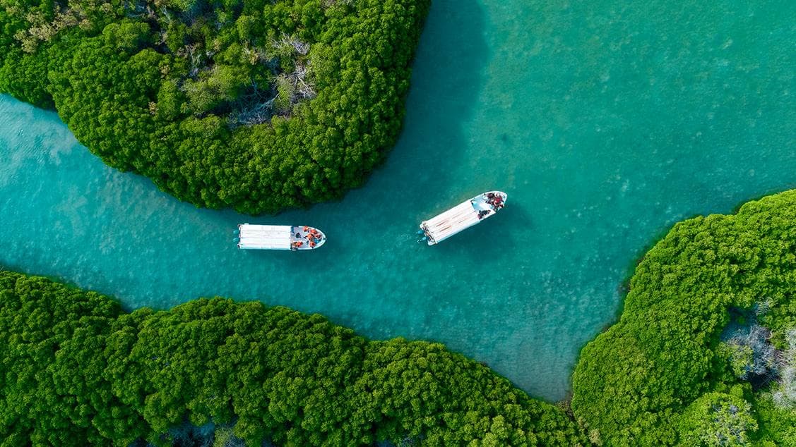 Wisata Kepulauan Farasan di Jazan
