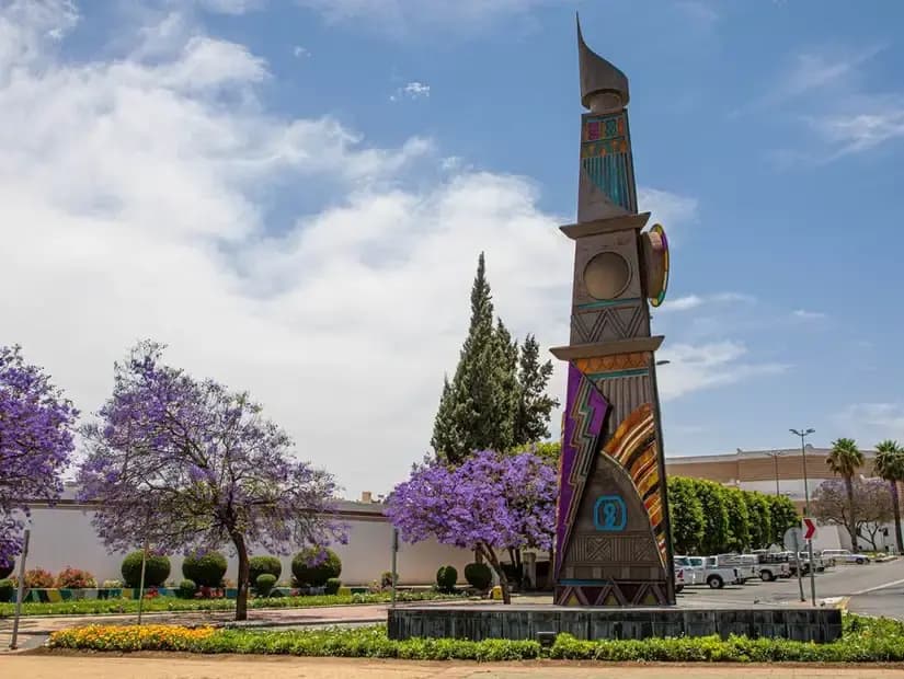Rasakan Keindahan Musim Jacaranda di Abha – Tur Violet yang Mempesona