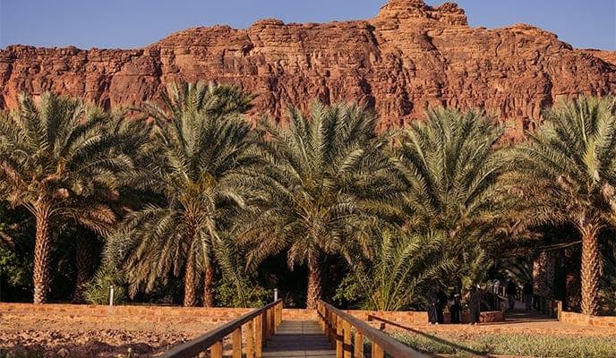 Tur menyusuri jalur oasis warisan budaya di Al-Ula
