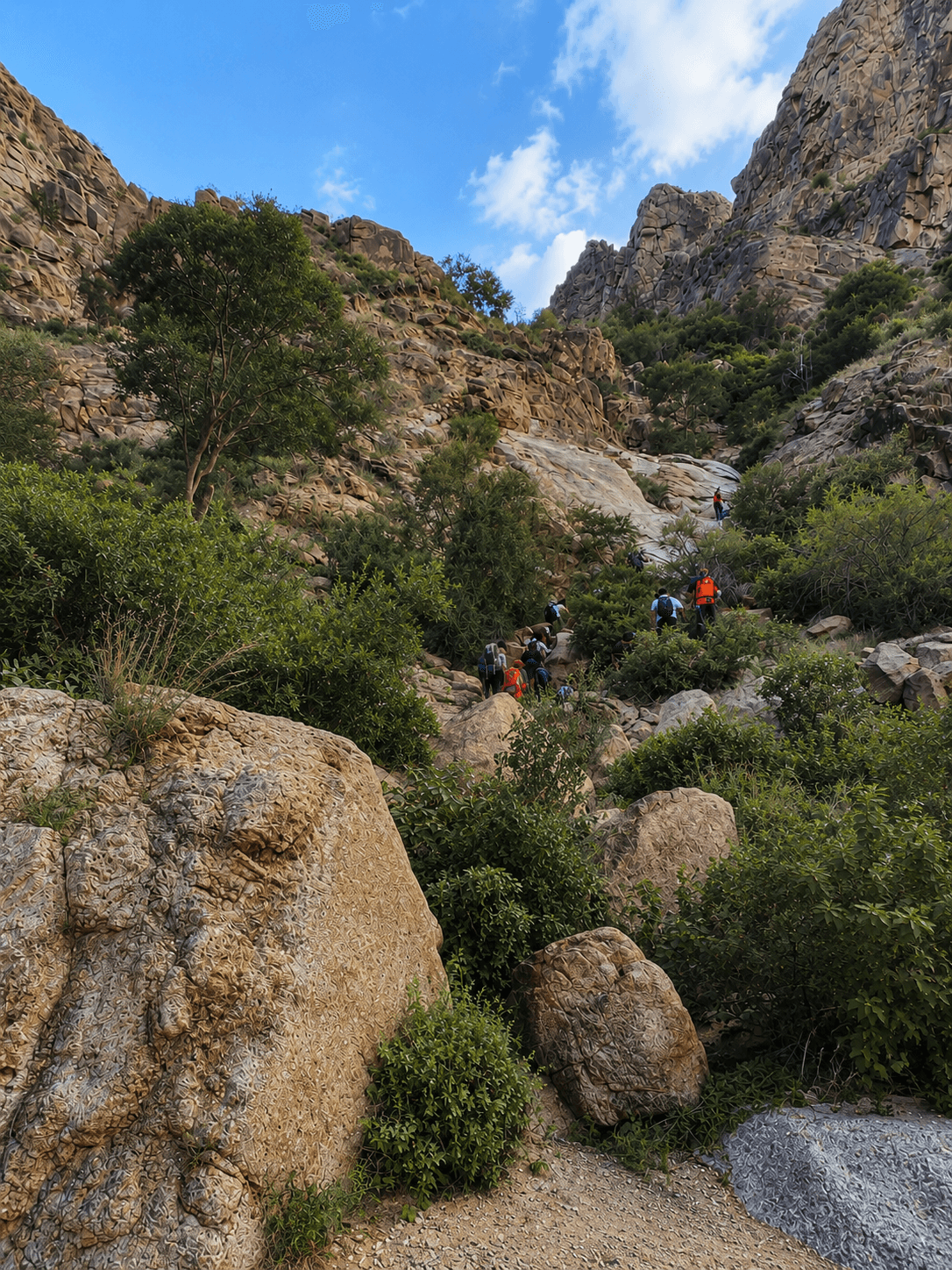 Mendaki Wadi Noman