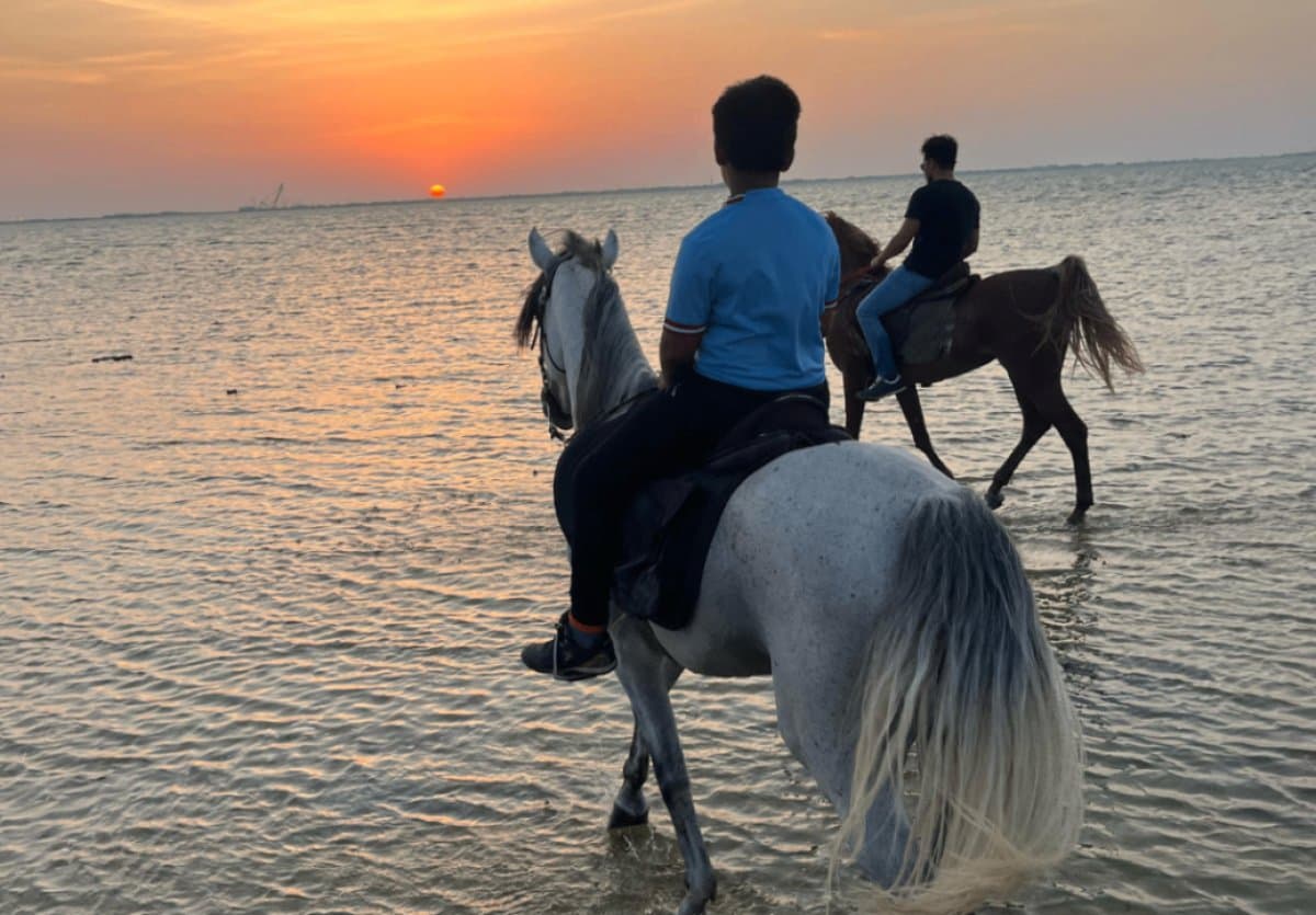 Berkuda di Al-Khobar